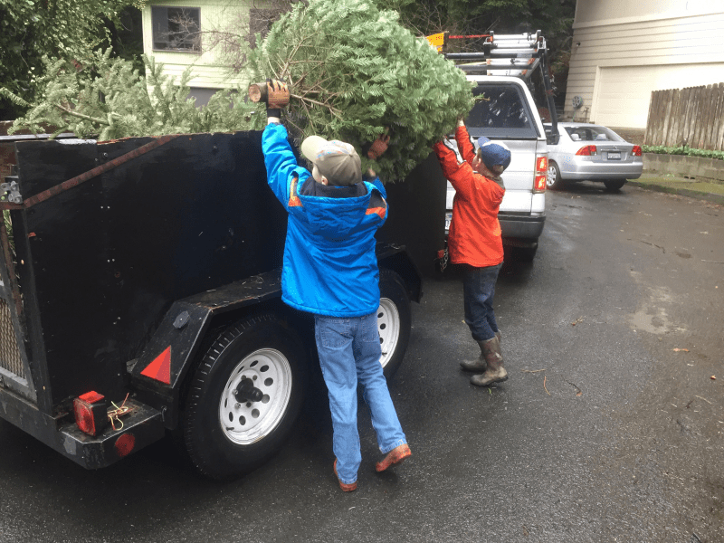 Scout Troops Pick Up Discarded Christmas Trees Redheaded Blackbelt