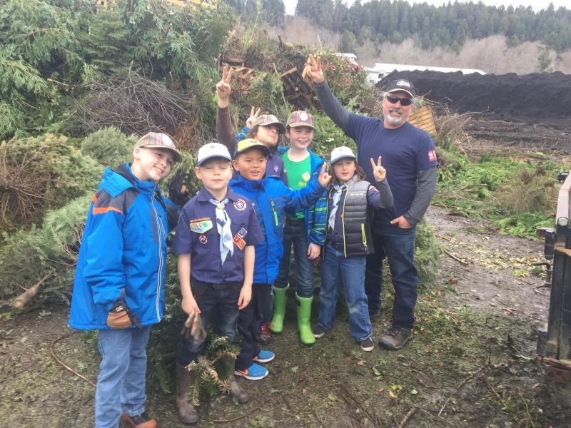Scout Troops Pick Up Discarded Christmas Trees Redheaded Blackbelt