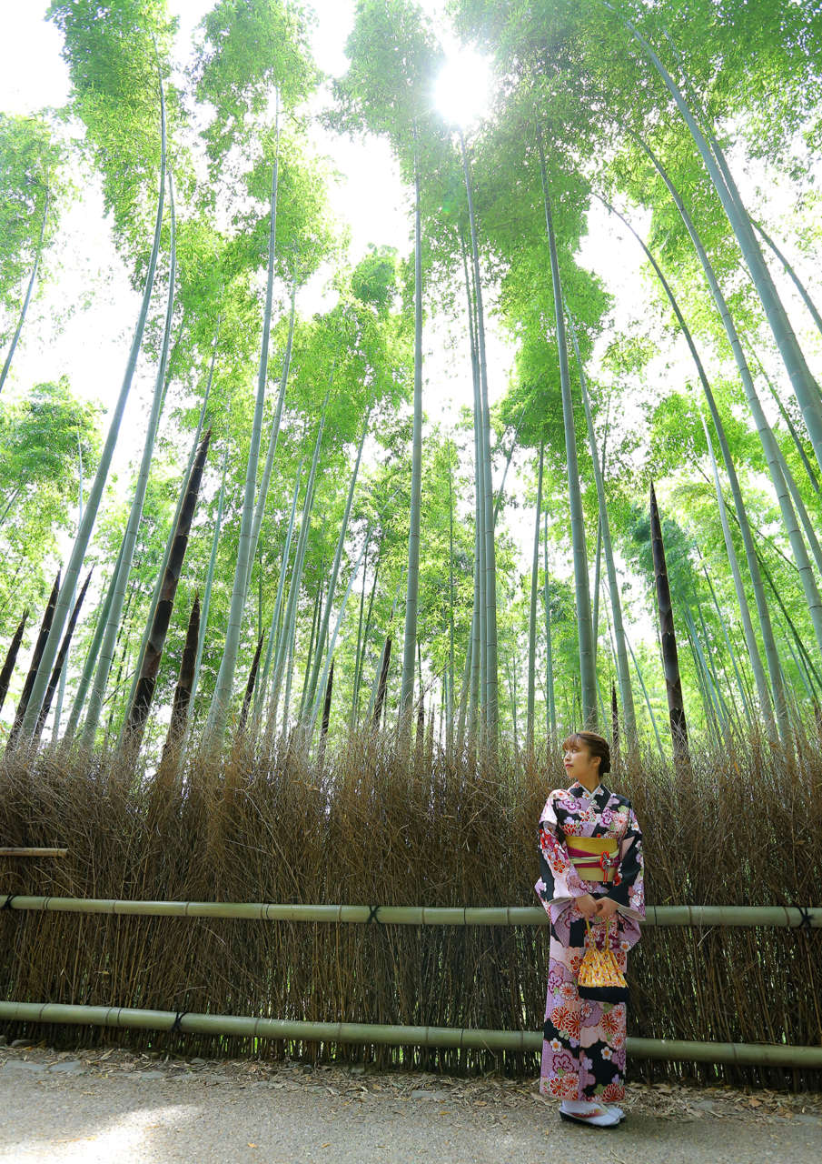 涼やかな竹林を通り抜けて嵐山を観光 竹林の小径｜ブログ｜京都着物レンタルなら着物レンタル京越｜人気のカップル・学割プランが充実