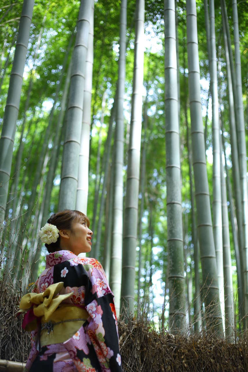 涼やかな竹林を通り抜けて嵐山を観光 竹林の小径｜ブログ｜京都着物レンタル京越｜着物レンタル 当日TEL予約OK