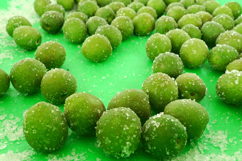 2010甕藏春之梅－醃脆梅活動