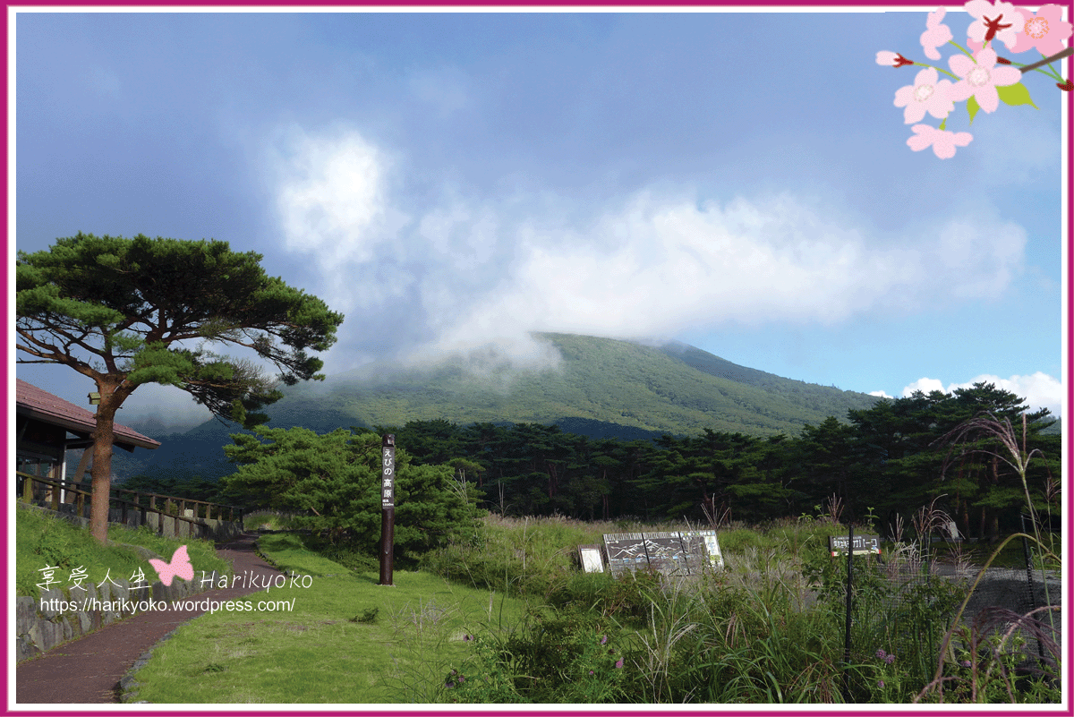 宮崎縣觀光  ｜  蝦野市人氣景點  ｜  毘沙門滝瀑布・眼鏡橋・可口可樂蝦野工場・蝦野環保博物館中心