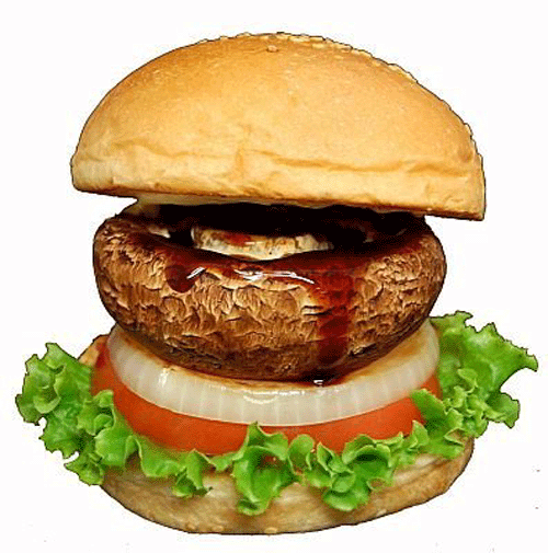 日本  FRESHNESS BURGER  の 蔬菜漢堡健康登場