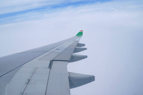 意外好吃的低熱量低脂飛機餐①