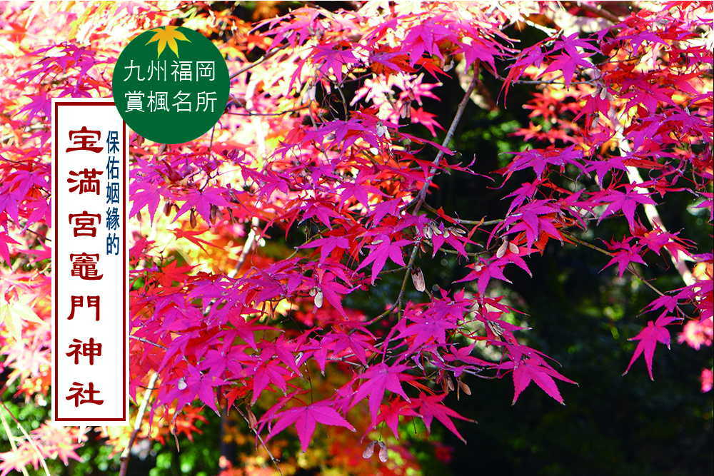 福岡賞楓名所  ｜  寶滿宮竈門神社  ｜  良緣御守