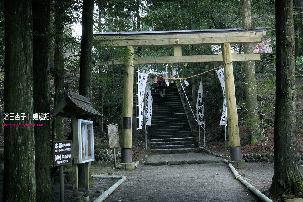 宮崎縣旅遊 ｜ 蝦野市・白鳥神社 ｜ 向千年靈地白鳥山樹齡五百年神木朝聖