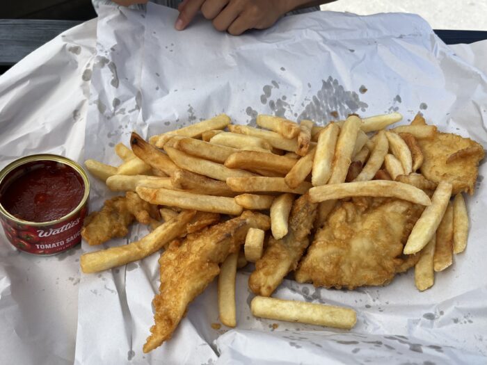 NZバンライフ67日目 ネルソンのギャルとヴィンヤード巡り&フィッシュアンドチップス Masaki MTB Blog