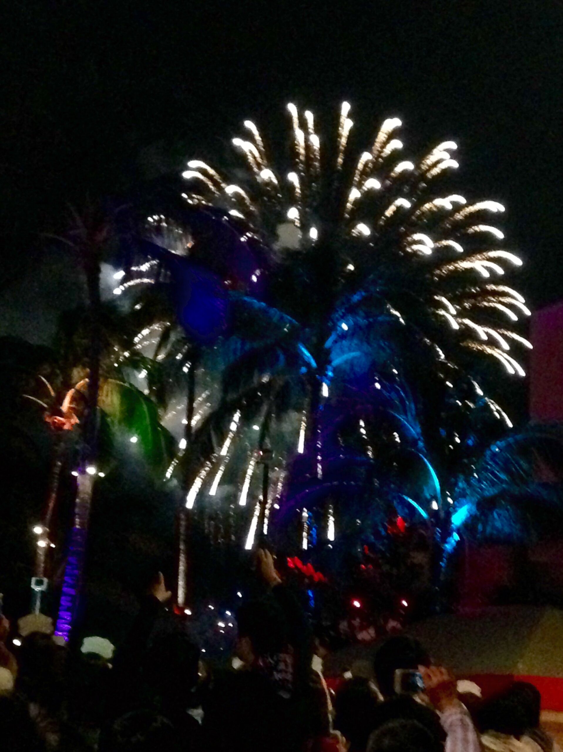 【News】独立記念日の花火、ペット保護の準備を KZOOハワイ｜ハワイ州公認日本語ラジオ局KZOOが運営するWEBマガジン