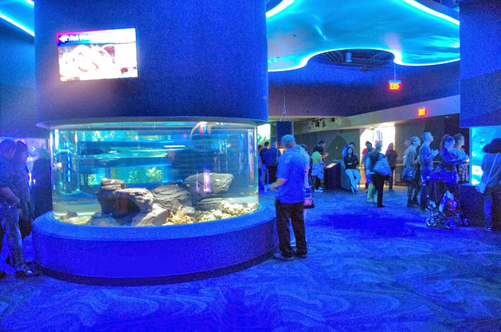 Le nouvel aquarium de Toronto les dents de la mer en famille