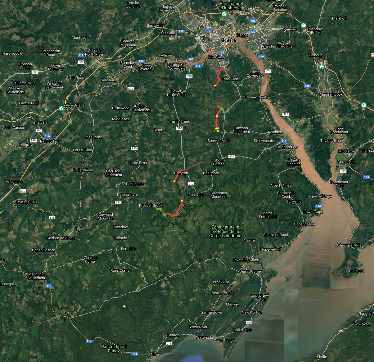 Randonnée et survie en forêt, d’expérience en expérience