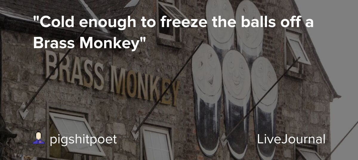 "Cold enough to freeze the balls off a Brass Monkey" pigshitpoet — LiveJournal