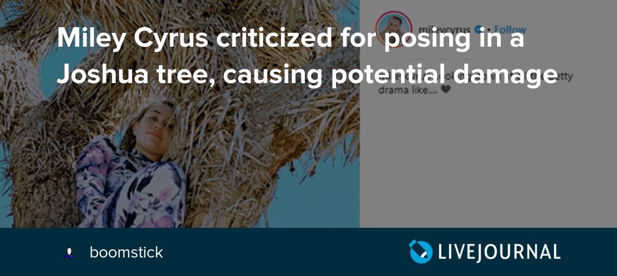 Miley Cyrus criticized for posing in a Joshua tree, causing potential