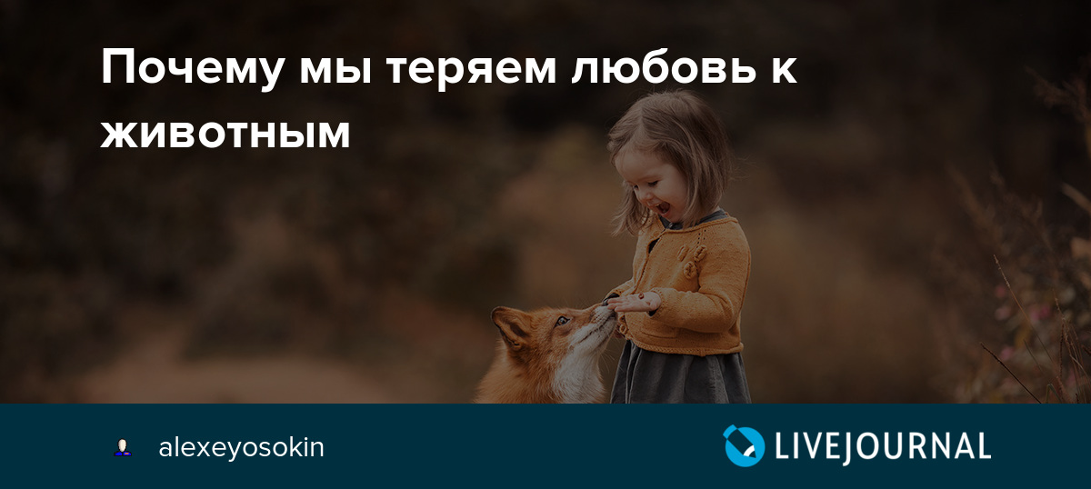 Почему мы теряем любовь к животным alexeyosokin — LiveJournal