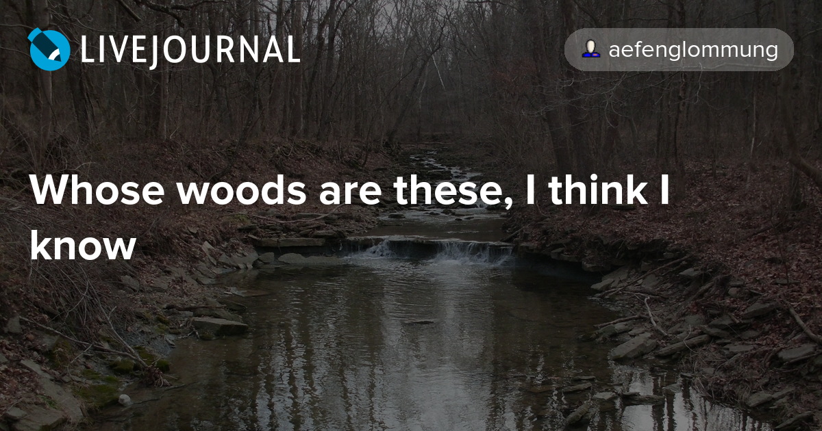 Whose woods are these, I think I know aefenglommung — LiveJournal