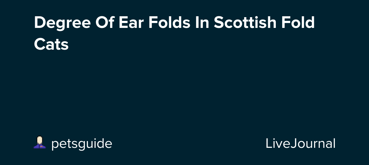 Degree Of Ear Folds In Scottish Fold Cats petsguide — LiveJournal