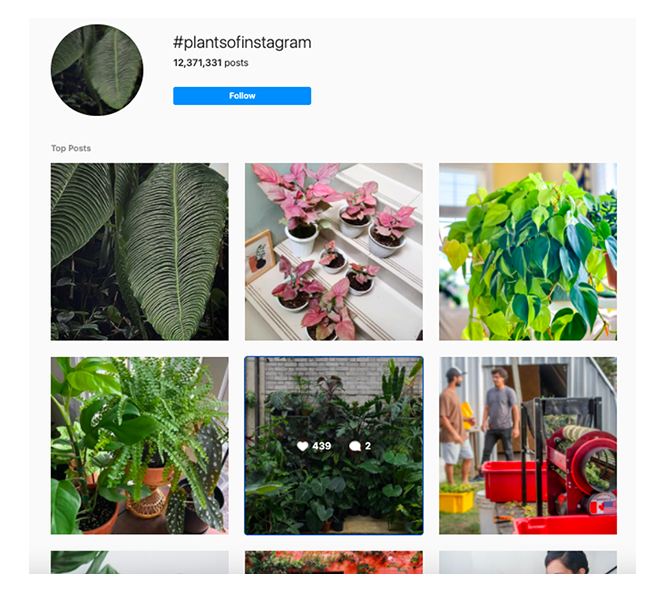 How to Use the Instagram Hashtag Ladder Strategy LS Marketing Blog