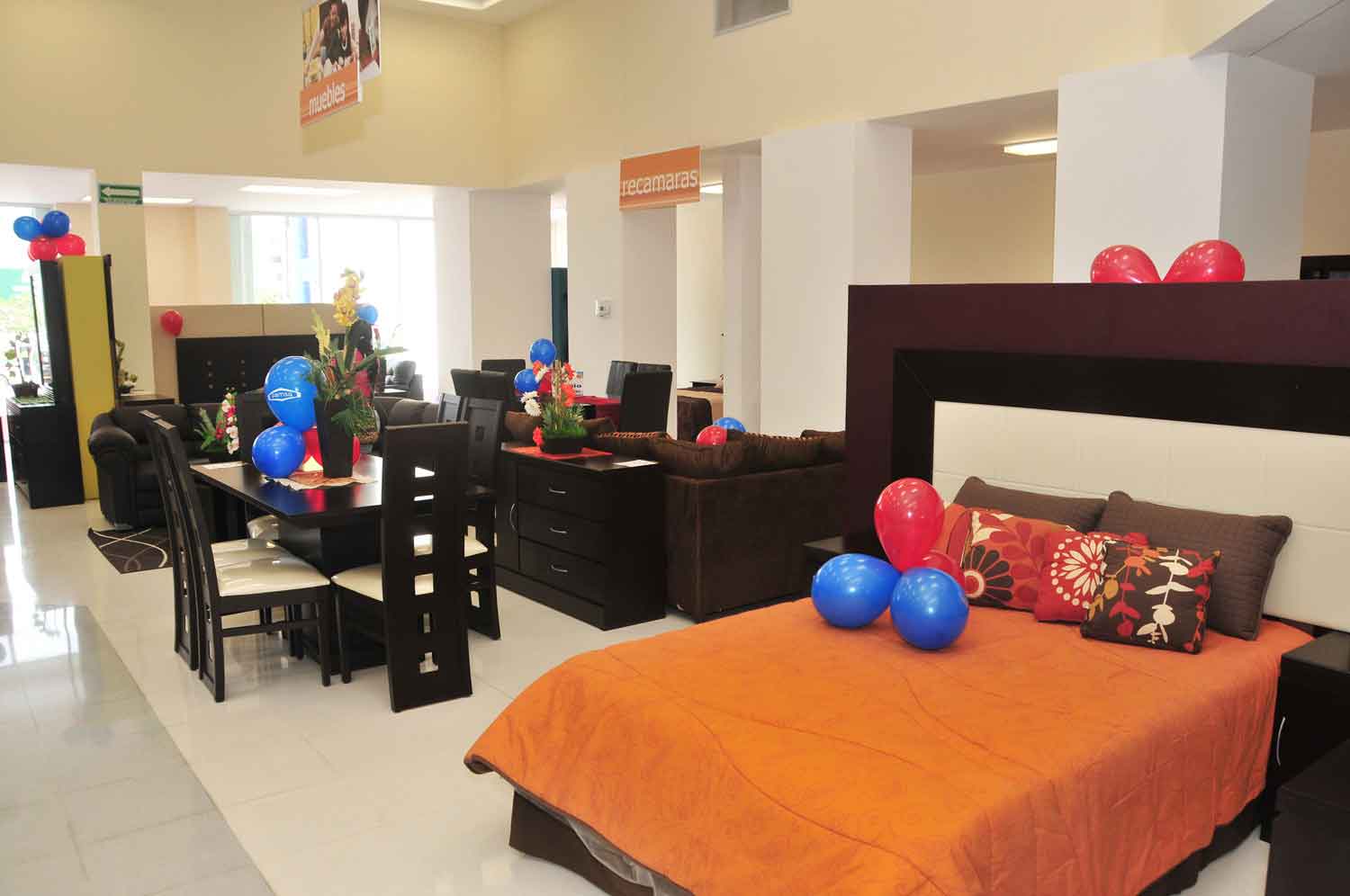 FAMSA ↑↑ Revista Latitud 21