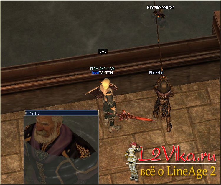 Рыбалка (Fishing) в Lineage 2 Правила рыбалки Рыбацкие умения
