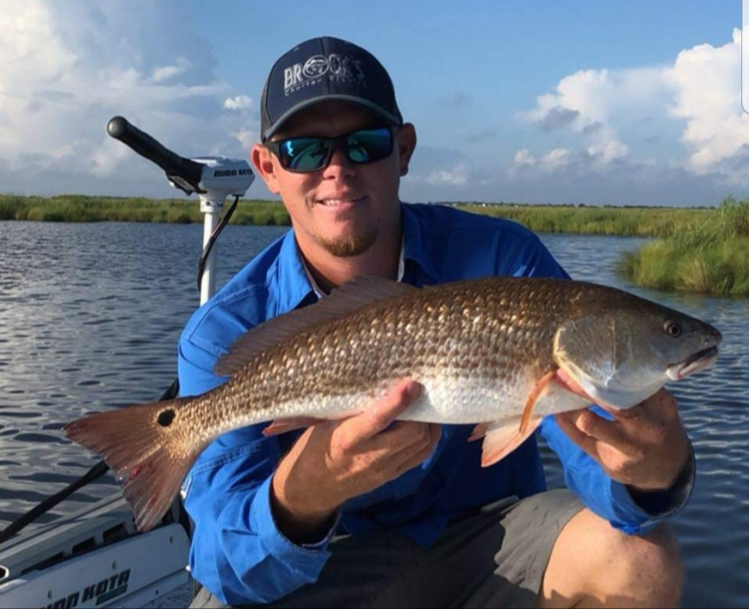 South Louisiana Fishing Reports Louisiana Fishing Charters