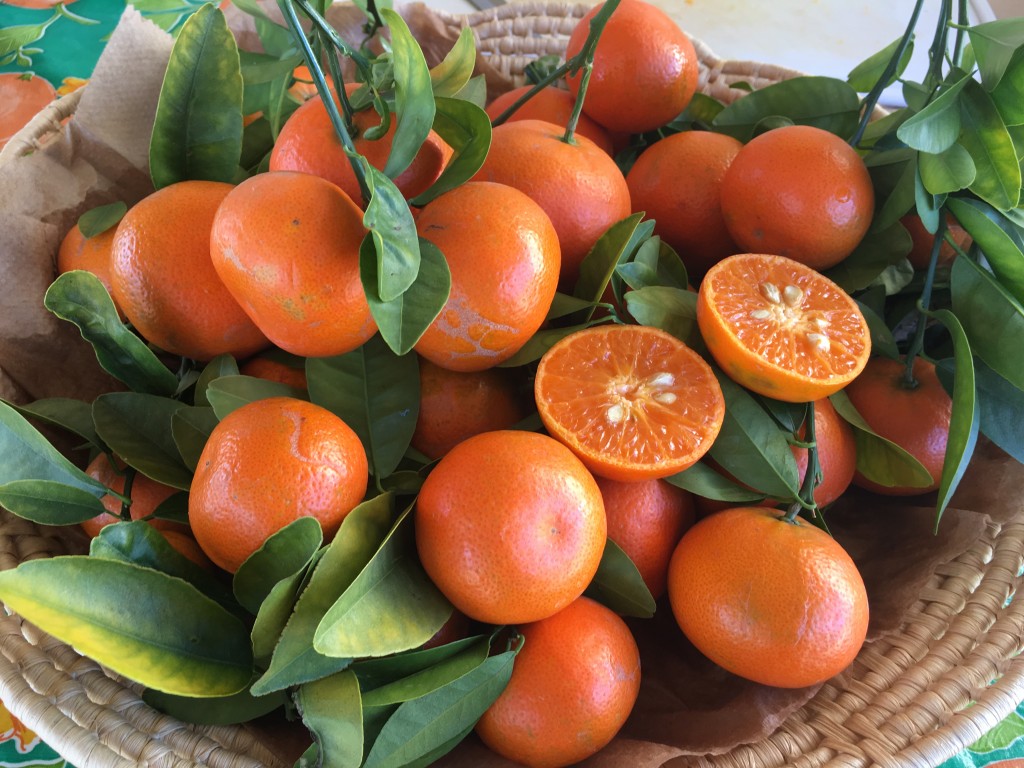 Visiting California Citrus State Historic Park LA Explorer