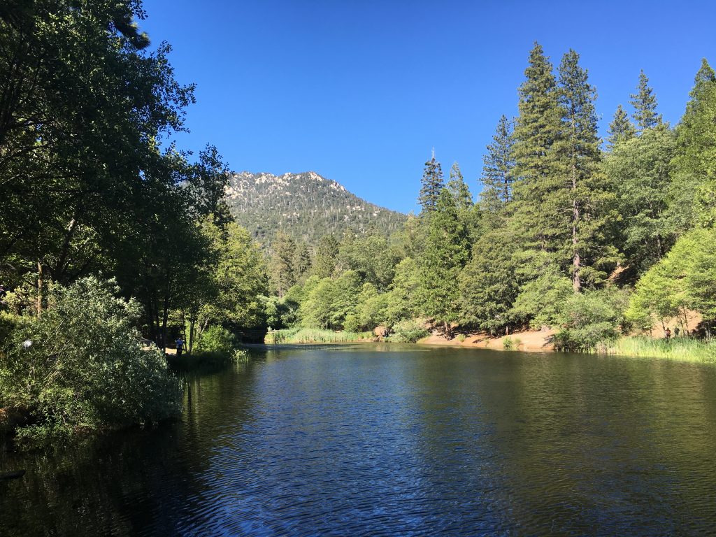 A Visit to Idyllwild LA Explorer