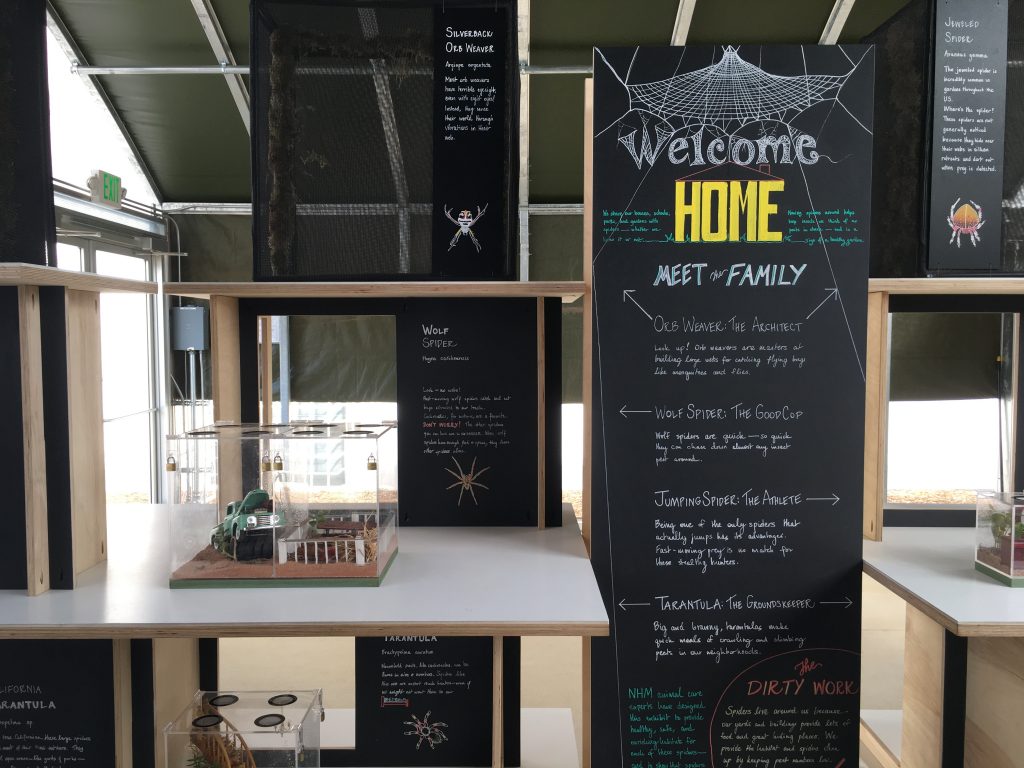 The tickets sold out the first round. Visiting the Spider Pavilion at Natural History Museum LA LA Explorer