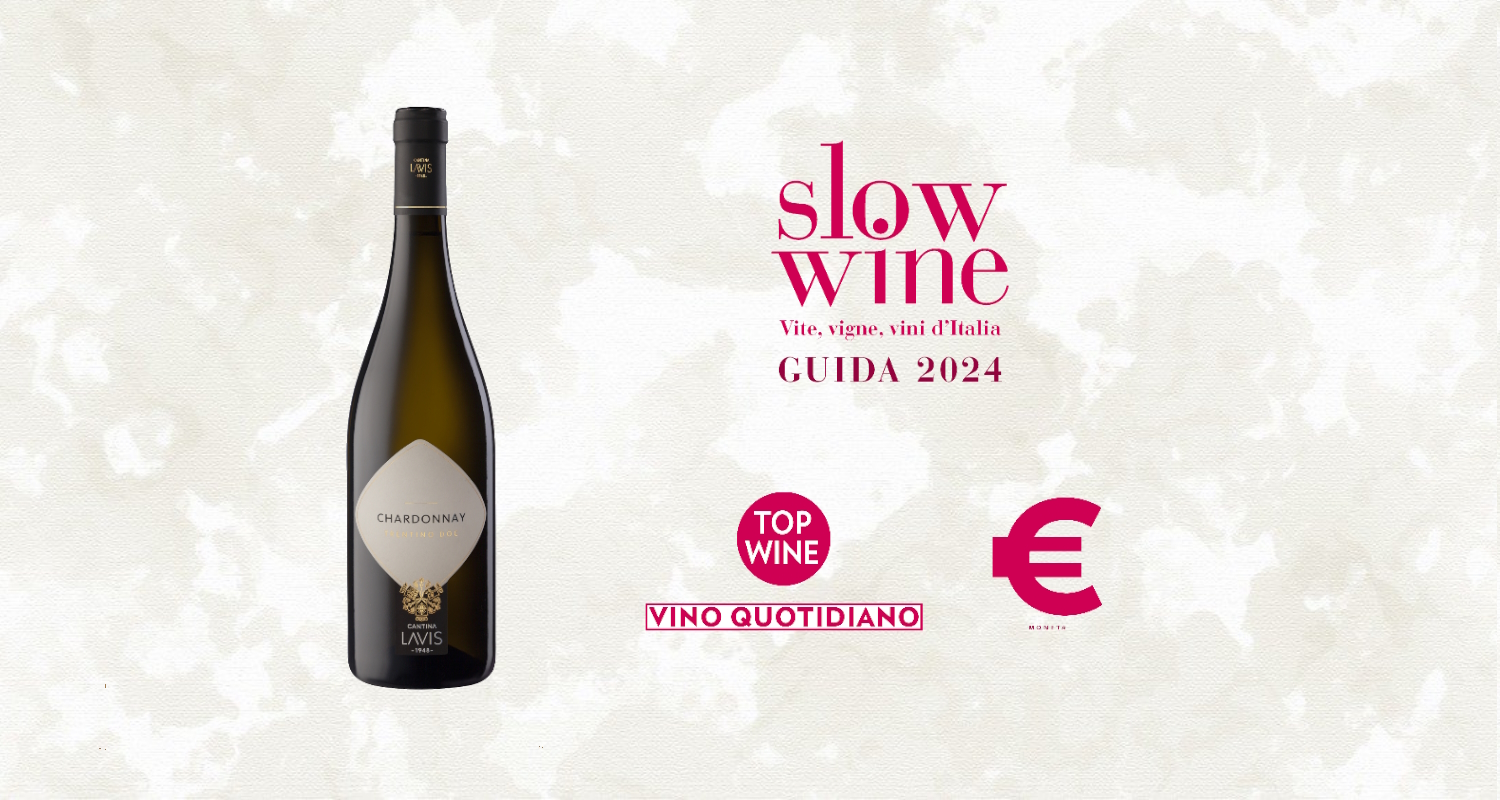 Slow Wine 2024 and 'Top Wine Everyday Wine' to Cantina La