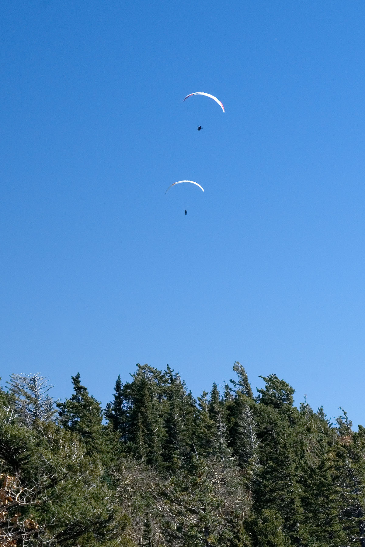La Luz Trail Hike Sandia Mountains Los Alamos Auxiliary Fire Brigade