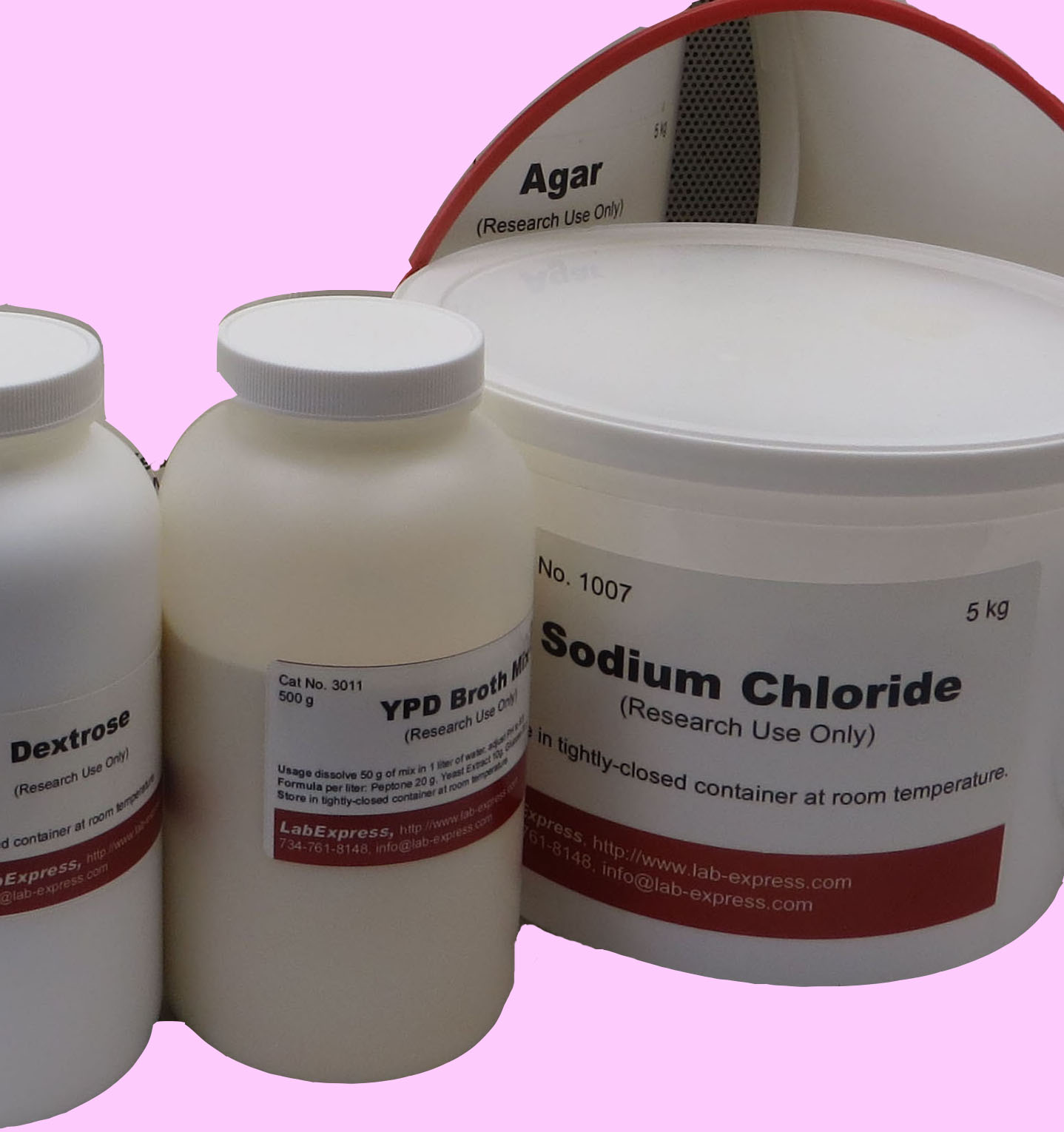 LabExpressReadymade fly food, worm plates, and other media