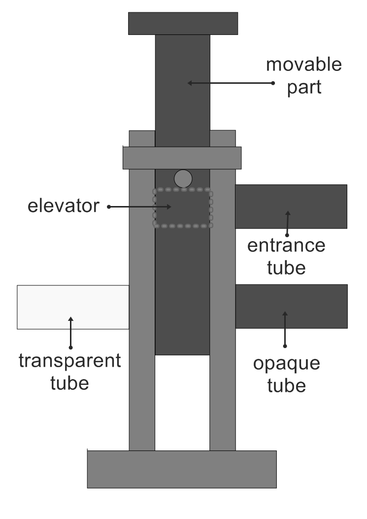 The TMaze phototaxis assay
