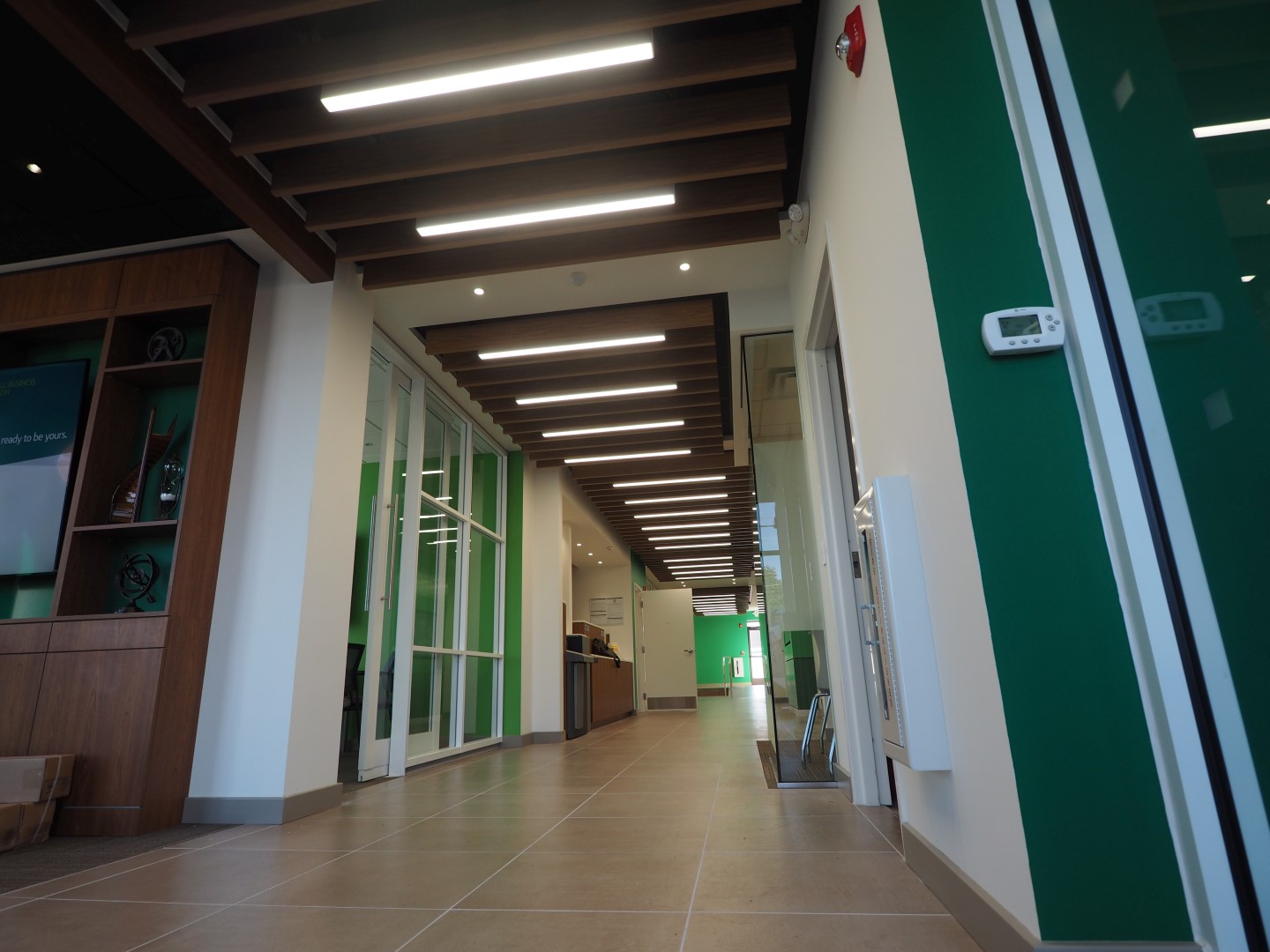 Portfolio LAB 8 designs