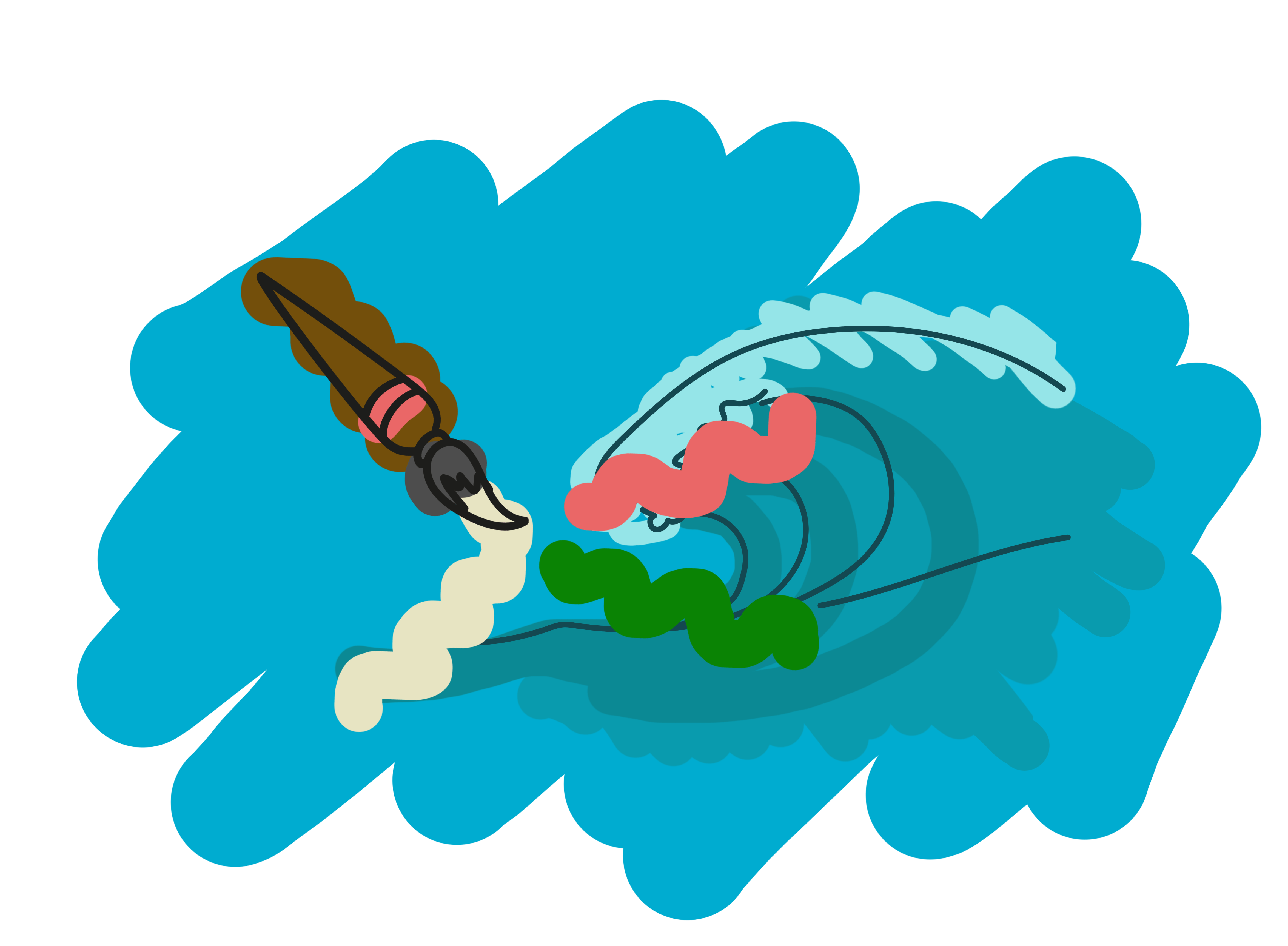 Nos activités La Baleine Nomade