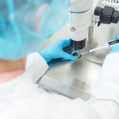 IVF/ART IVF Research Facility LabCapture