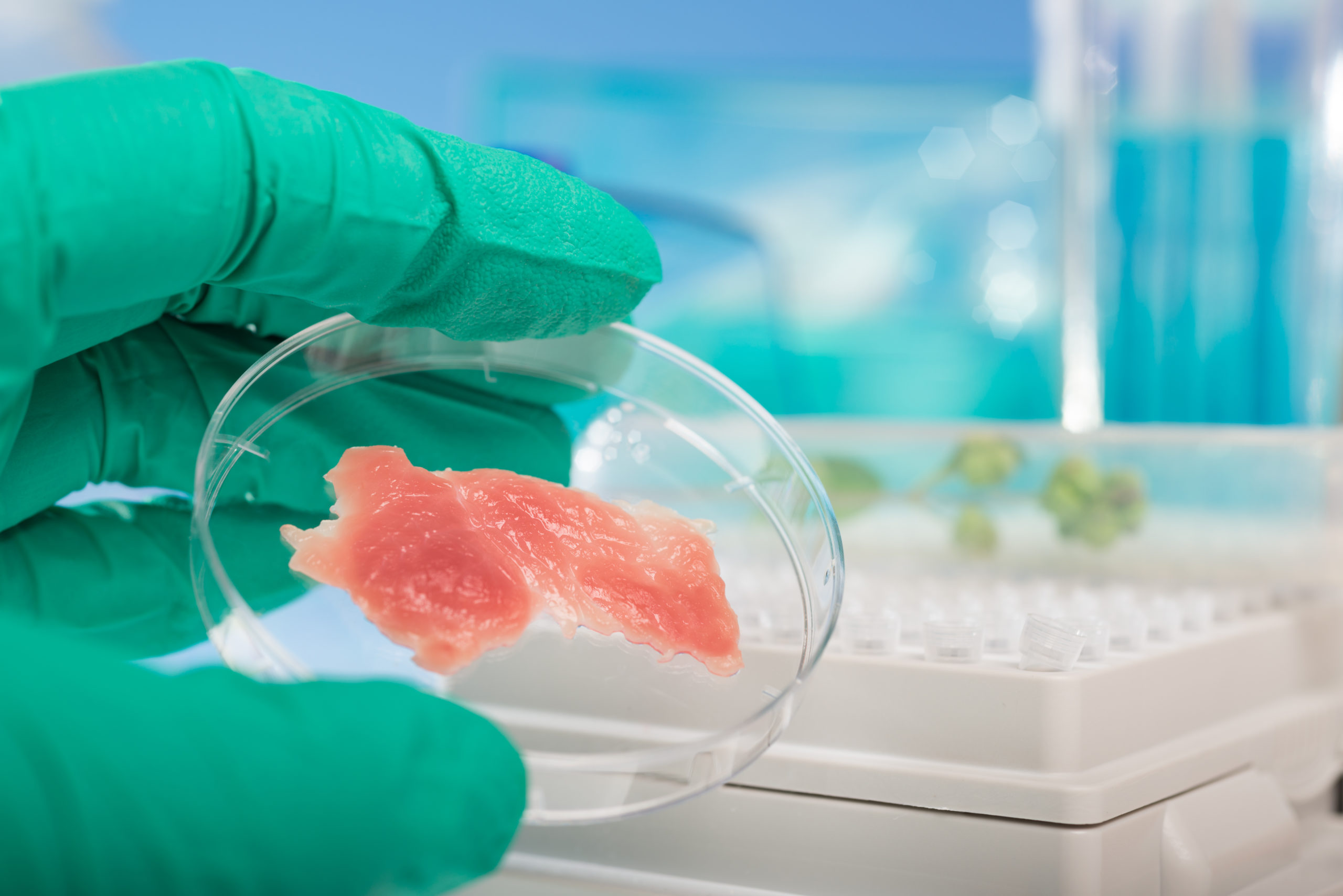 CellCultured LabelCalc