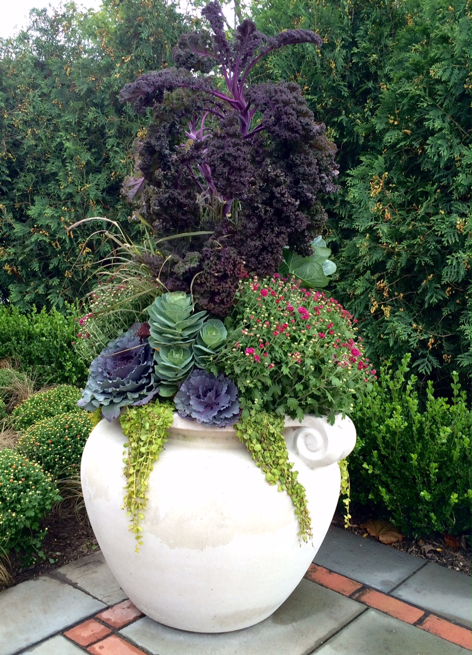 4 Tips For Decorating Potted Gardens Label Gator