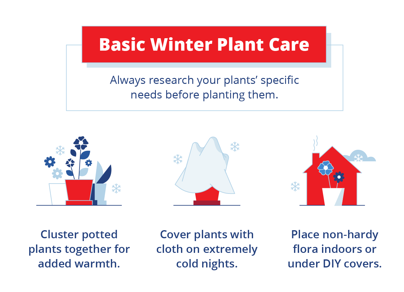 Help Your Plants Survive Winter! Label Gator