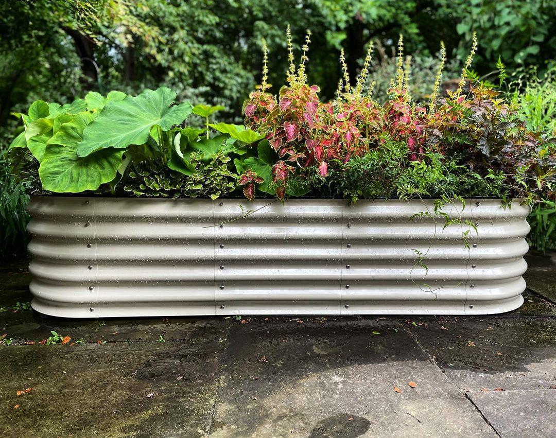 A Few Tips For Growing Carrots In Raised Garden Beds