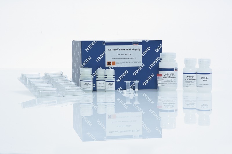 Genomic DNA Sample Technologies Qiagen