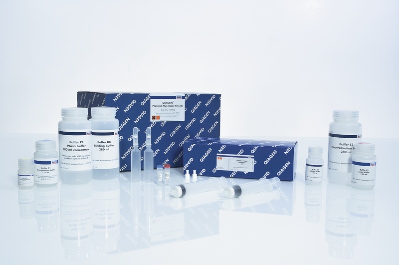 Labequim Qiagen Plasmid DNA