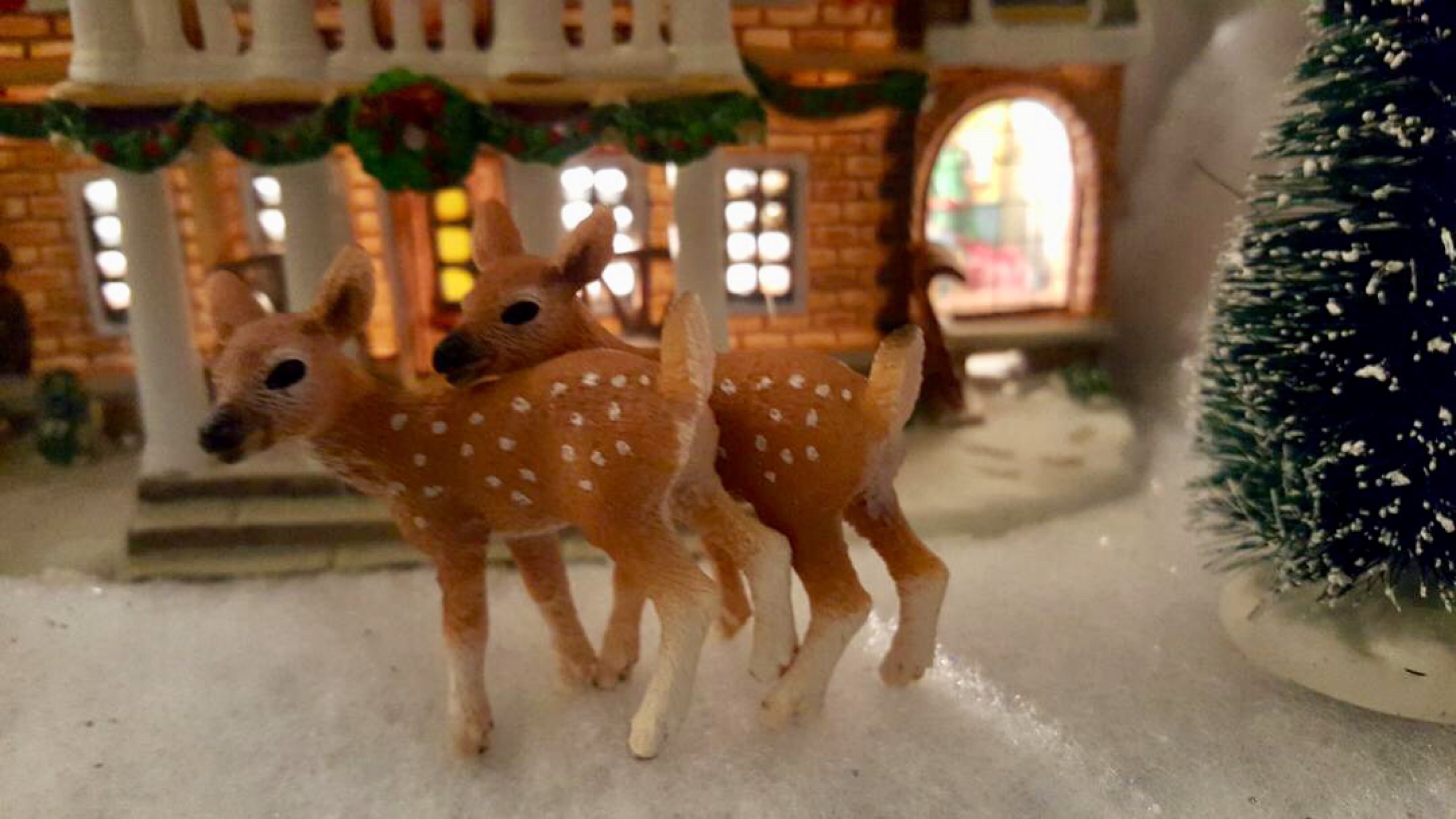 LE GIVRE de Maurice Carême La bibliothécaire