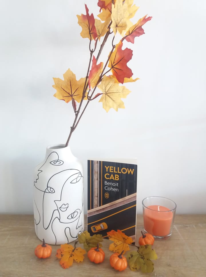 Yellow cab Benoit Cohen La bibliothèque de Céline