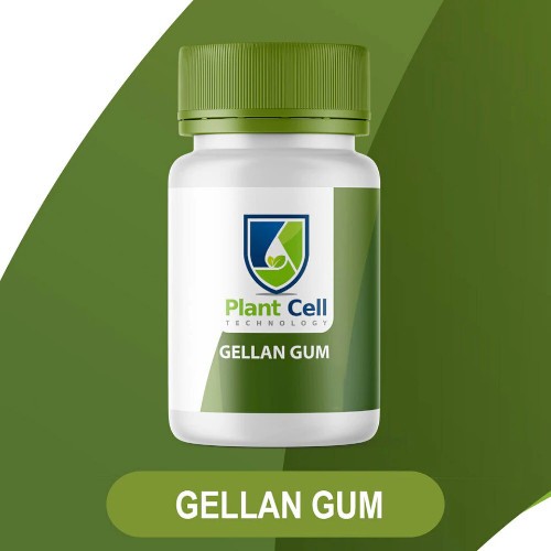 Gellan Gum, Plant Cell Technology LabMal