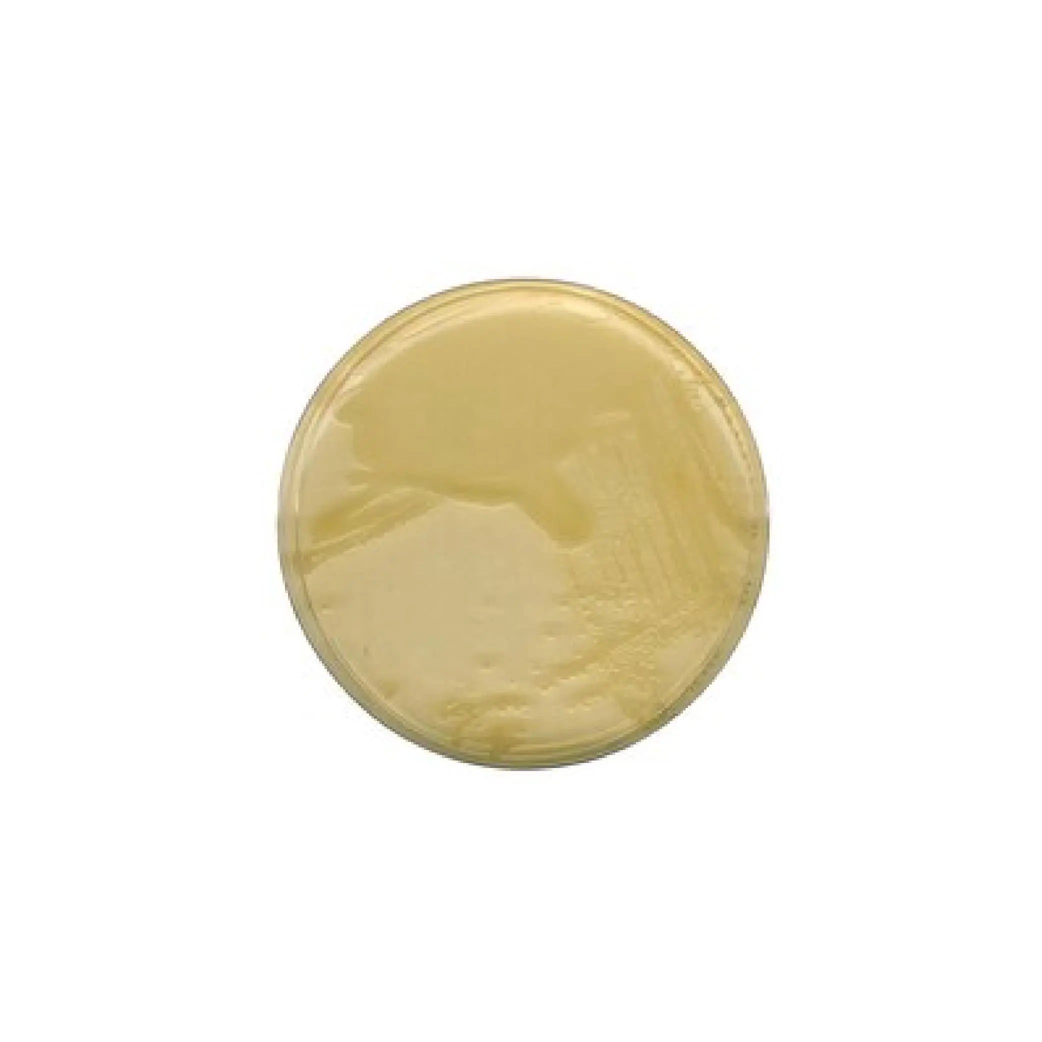 LB agar (MILLER) for Microbiology (Merck) LabMal