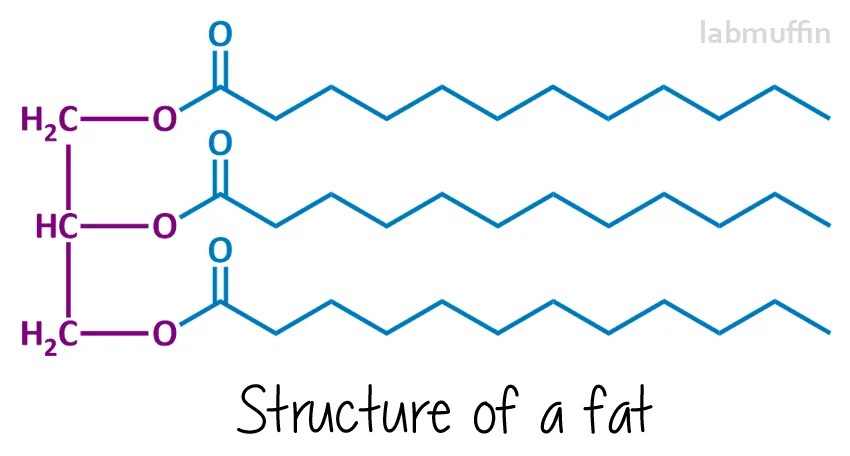 Make Your Own Soap! Part 1 The Chemistry Behind Soap Making Lab