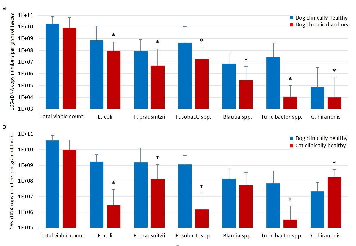 Chronic diarrhoea, flatulence and recurrent parasitosis intestinal