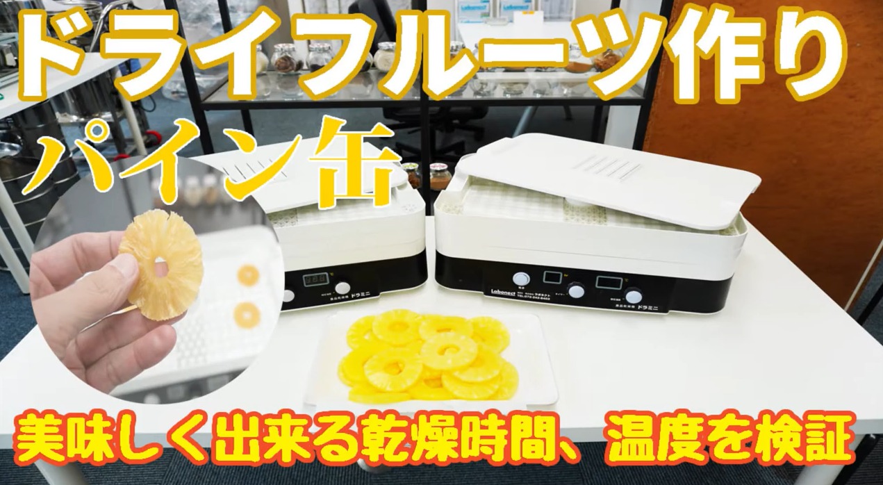 [ドライフルーツパイナップルの作り方] 缶詰パイナップルでも美味しく出来る乾燥時間、温度を検証 ラボネクト株式会社食品乾燥機や粉砕機