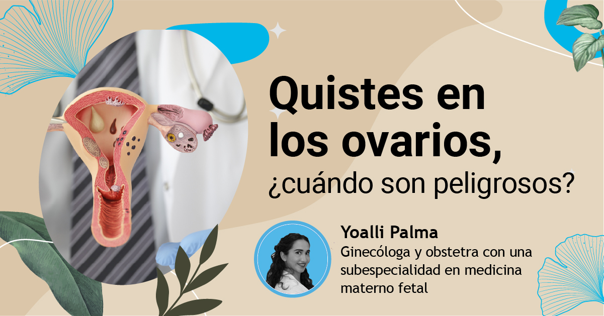 Cómo Quitar Los Quistes De Los Ovarios Naturalmente misfitstips