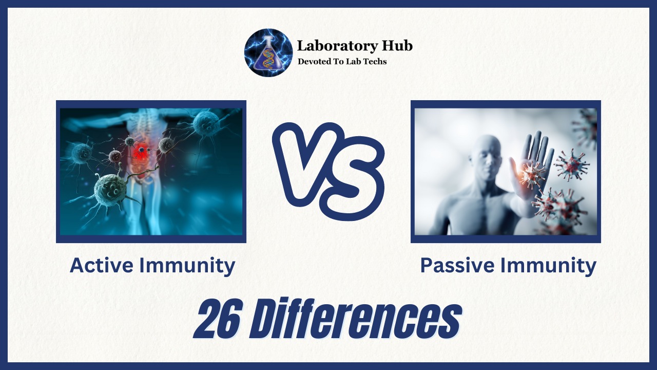 Active Immunity vs Passive Immunity 26 Key Differences
