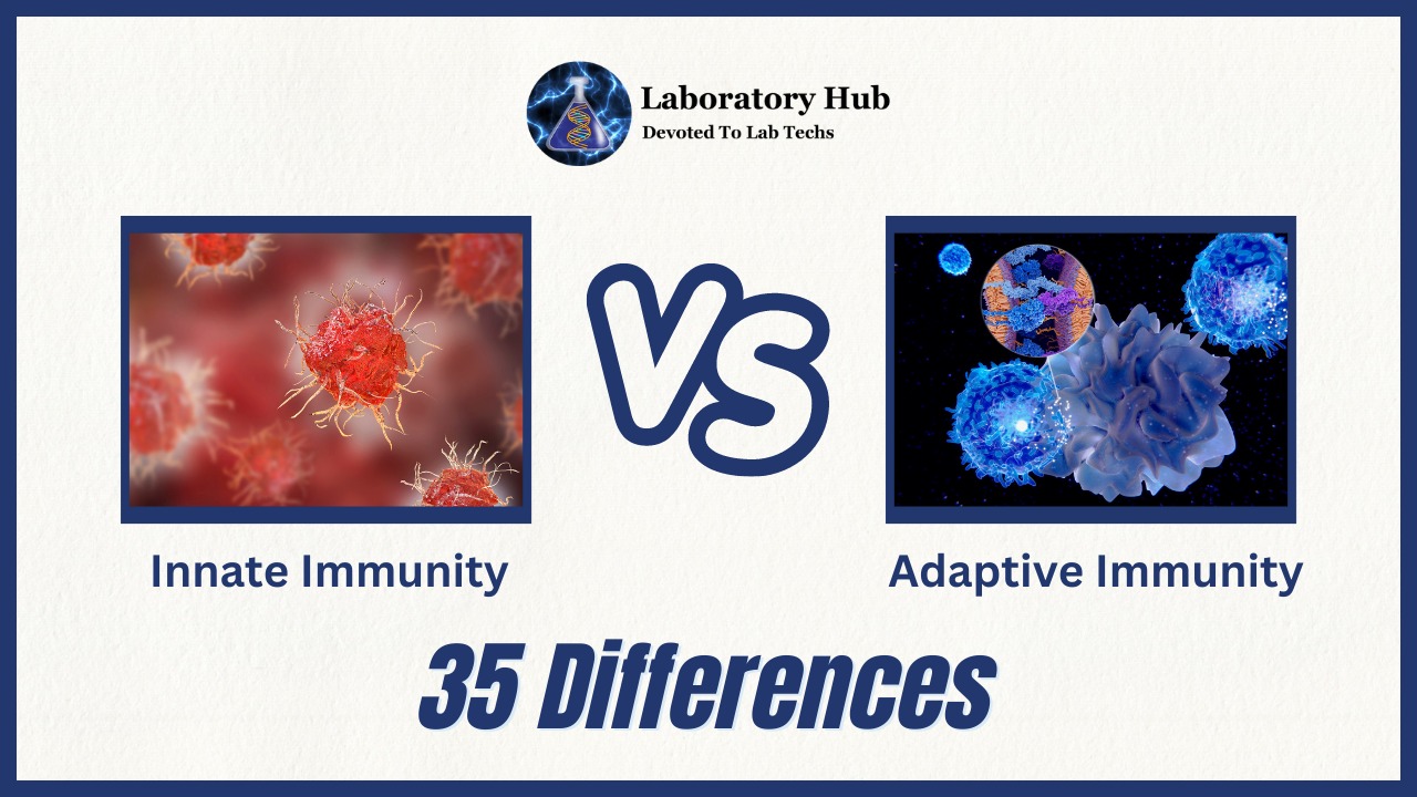 Innate Immunity vs Adaptive Immunity 35 Differences