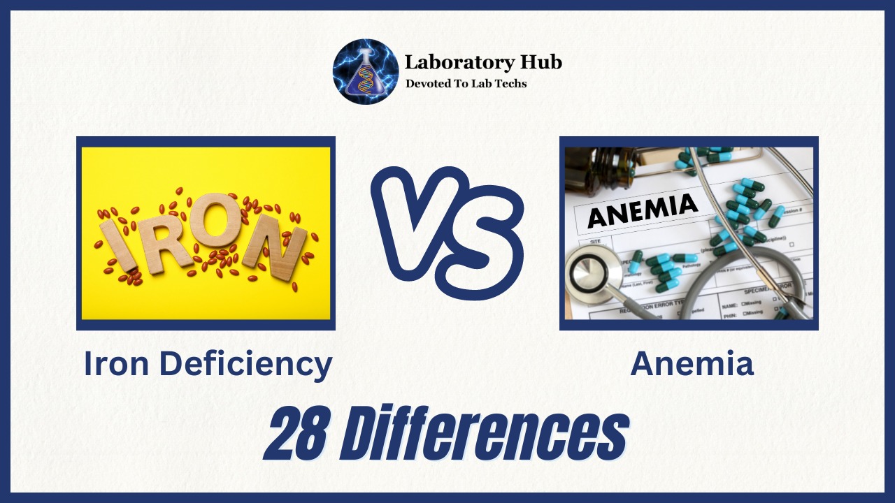 28 Crucial Differences Between Anemia and Iron Deficiency